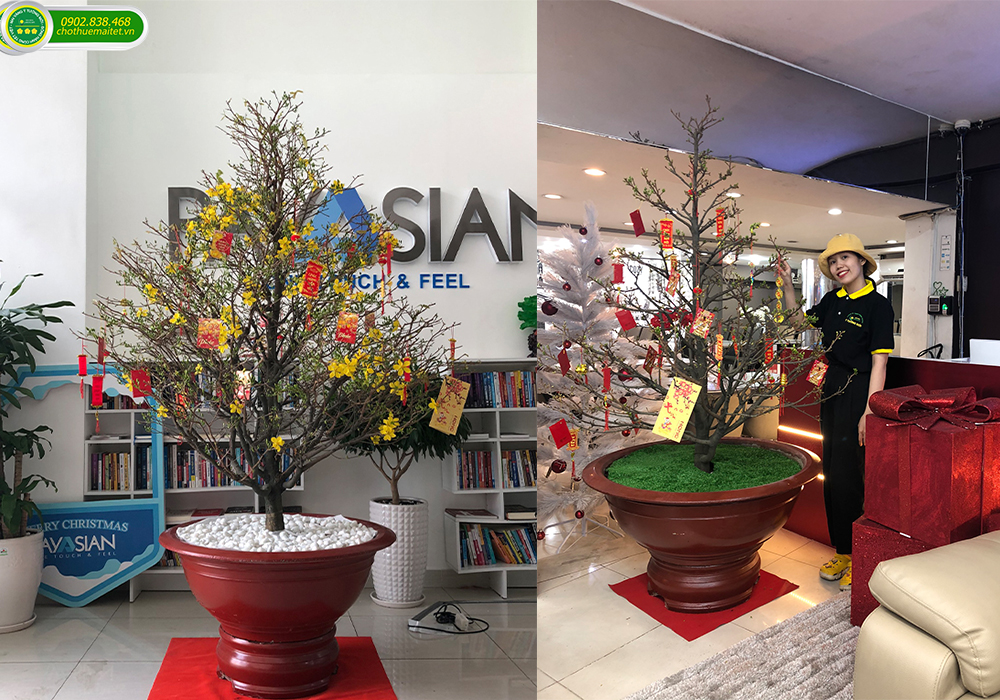 giá thuê mai tết 2021