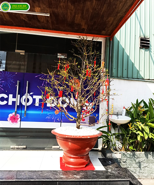 dich-vu-cho-thue-mai-tet-nham-dan-2022